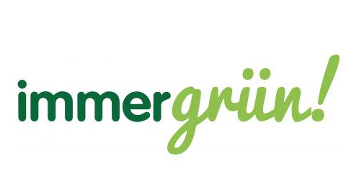 Abzocke Bei Strom Und Gas Immergrun Energie In Der Kritik Verbraucher Stromanzeiger De