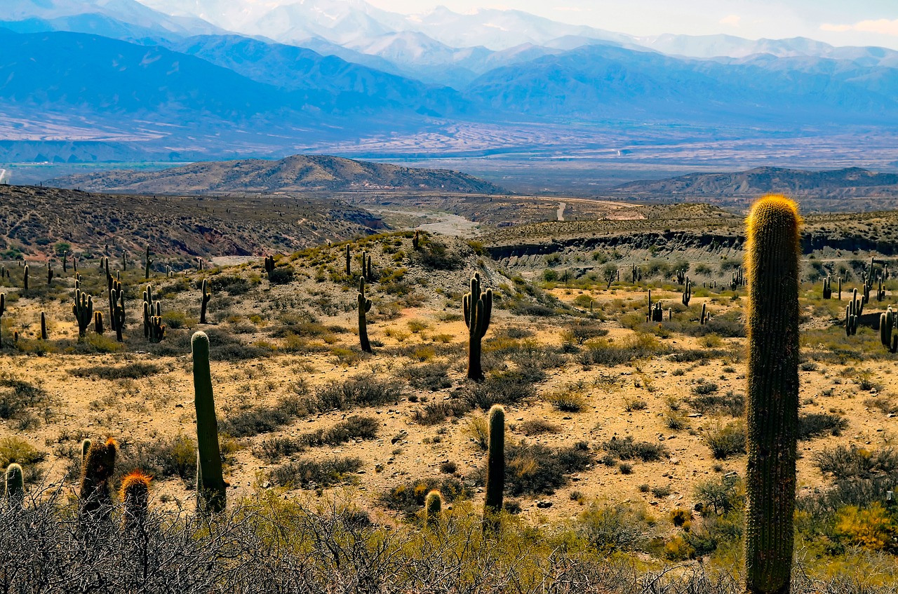 Landschaft in Argentinien.